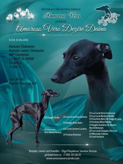 Amoroso Vero Desire Daina