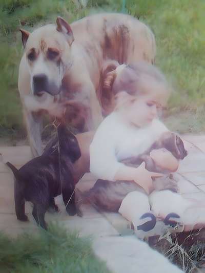 MOTA DE CANCHAS MAHAN