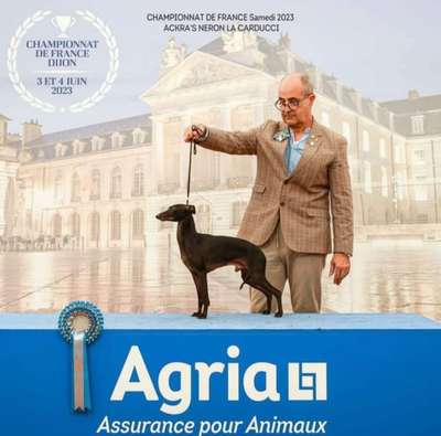 Ackra's Neron