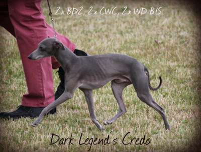 Dark Legend's Credo