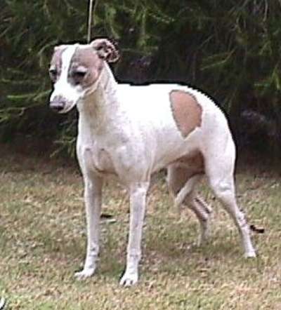 Tunamara Cherie
