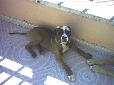 DUQUE DE KING ZULU