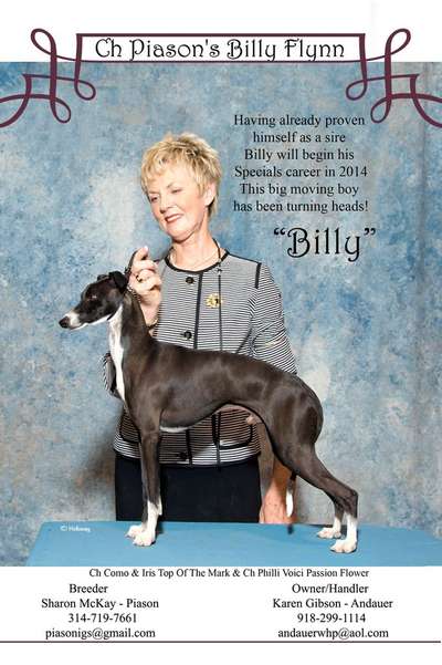 Piason's Billy Flynn