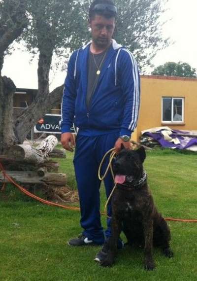 ZEUS I DE KING ZULU