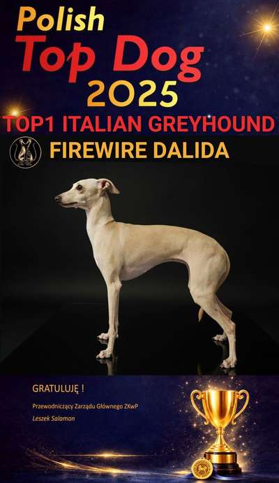 Firewire Dalida
