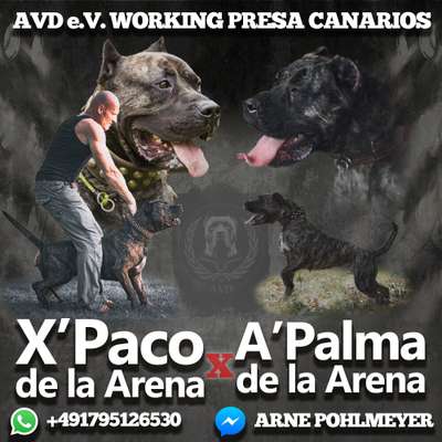 W'ALBA DE LA ARENA