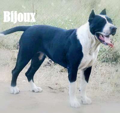 BIJOUX