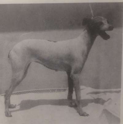 Maria Elena Of Jachelann
