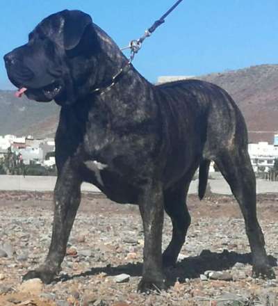 VICTORIA DE CIELO DE CANARIAS