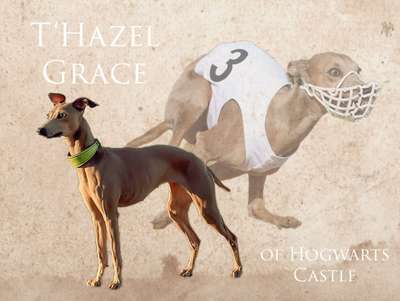 T‘Hazel Grace of Hogwarts Castle