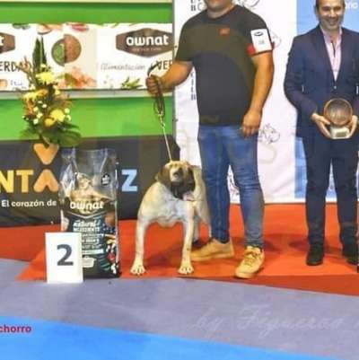 KEILA CANARIKENNEL