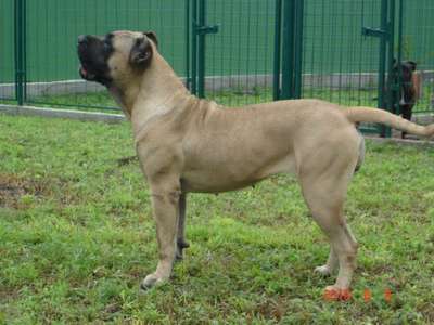 LUNA DE VILLA ALESIA (ANGIE)