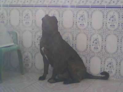 OSO I DE KING ZULU