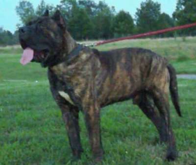 HURCULES DEL RIVER CITY (HERCULES)