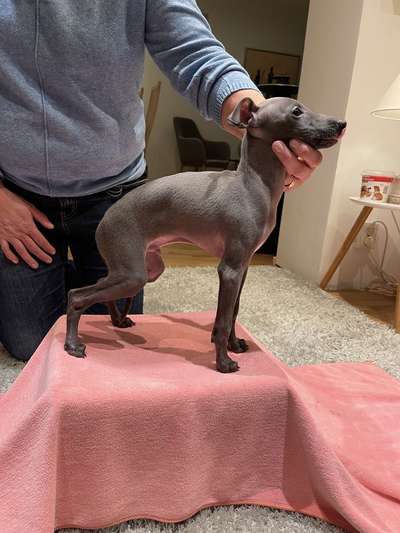 Minmios Luca