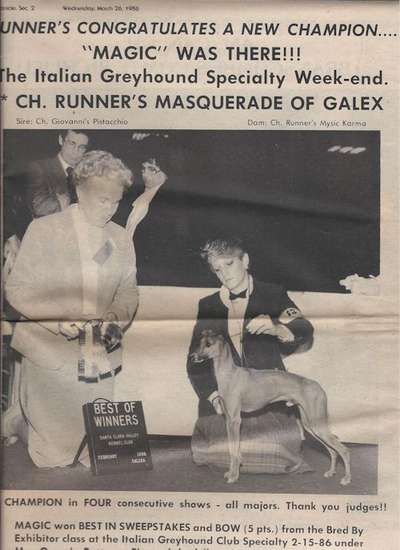 Runner's Masquerade Of Galax