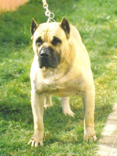 KIKO DE CASA DEL PRESA