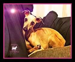Yentl's Melody Donna