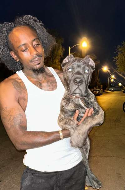 BOSSMAN KENNELS MAFIA