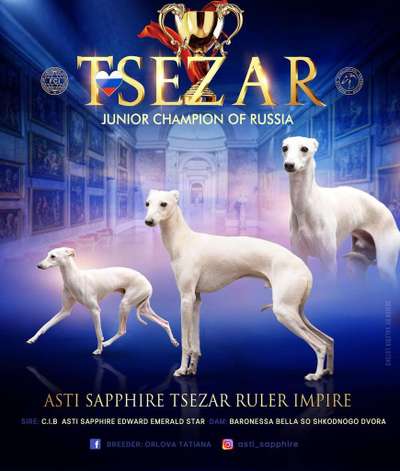 Asti Sapphire Tsezar Ruler Empire