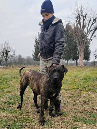 XENA DE BELLIGOLI
