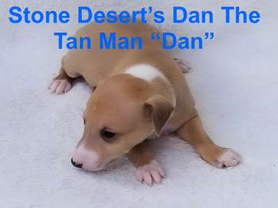 Stone Desert’s Henry ‘Indiana’ Jones Mowery PHD