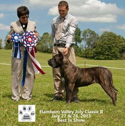 BRAVO KENNEL'S CHICK-EZE