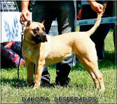 DAKOTA DE LOS DESPERADOS