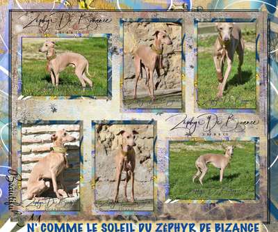 N'Comme Le Soleil Du Zéphyr De Bizance
