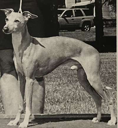 Lyric's Royal Cracker Jack
