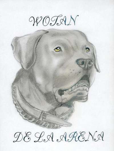 WOTAN SALVAJE MATARIFE