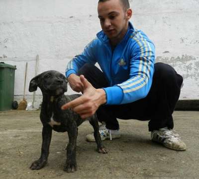 GRINGA DE IRON BULL