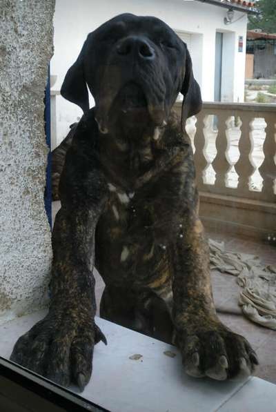 NALON DEL XAGOTERO