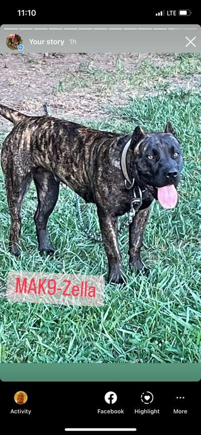 MAK9-LITTLE ZELLA