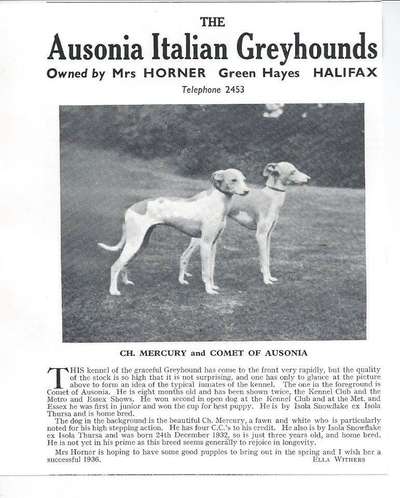 Comet Of Ausonia