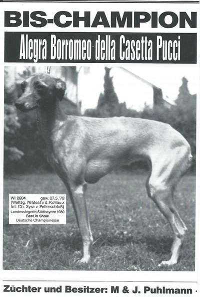 Alegra Borromeo Della Casetta Pucci