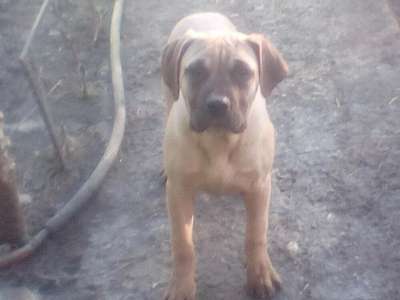 YANNA