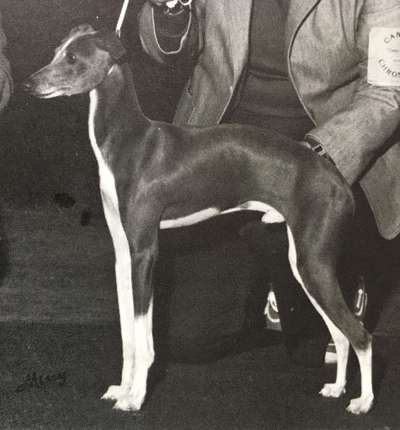 Rodolfo Di La Scala