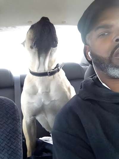 BLUFFCITY K9'S JADA