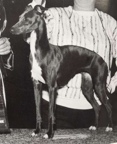 Pikop's Fashion Plate