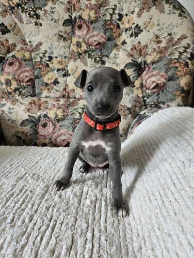 Penelope Luna Můjandílek