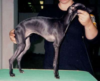Dunrobin Noblesse
