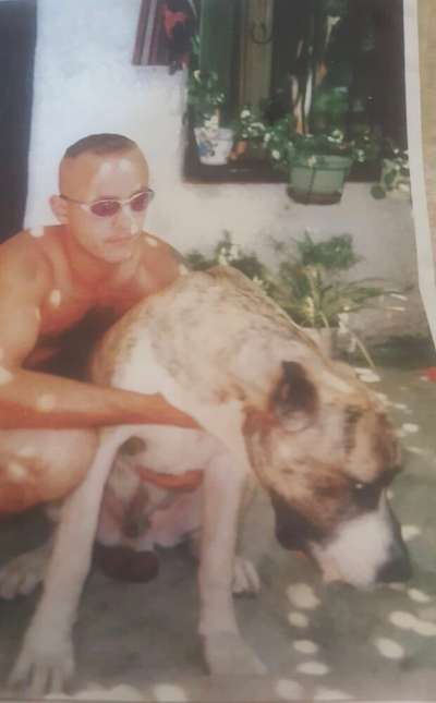 TIGRE DE KING ZULU