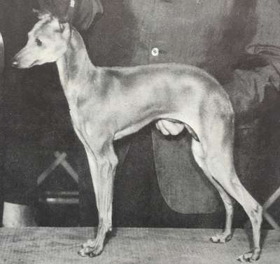 Carita Of Finstock