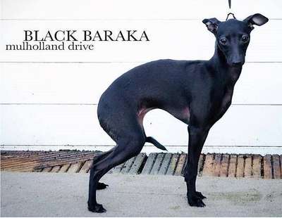 Black Baraka Mulholland-Drive
