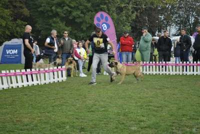 A-BRENDA DARIA PRESA CANARIO