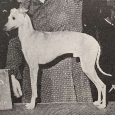 Luisa Dino Di Napoli