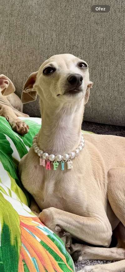 Mafie Feritte Bugsy