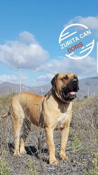 DORIS DE ZURITA CAN