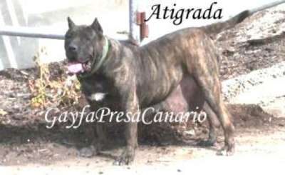 ATIGRADA DE CASIMIRO